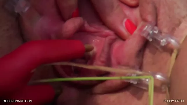 Pollo flessibilità e piccolo giocattolo di lei video porno da scaricare gratuitamente