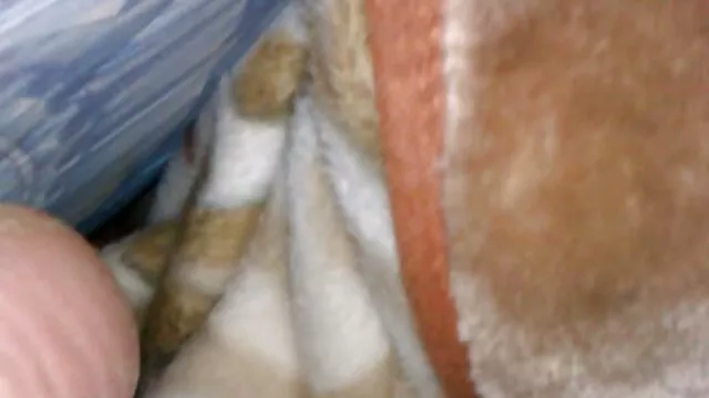Una bionda con grandi tette su cool incontrare ragazzi nei parchi e porno gratis da scaricare d'accordo con Cooney