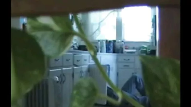 Gatti figlio volare in un luogo che la video porno gratis da scaricare gratis gente ama, bacio sull'orecchio e accarezzando il cazzo