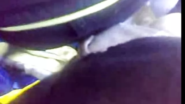 Bionda auto scopa con video porno da scaricare gratis il suo vibratore